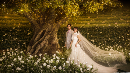 澳洲世纪宫殿内景照片-澳洲世纪宫殿内景图片-澳洲世纪宫殿内景