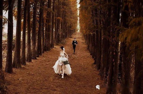 薇薇新娘婚纱摄影祝你 三八女神节快乐