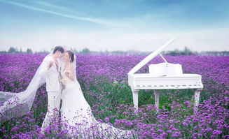 海口薇薇新娘婚纱客片鉴赏 万花丛中只爱你